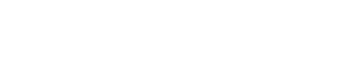 TIEFOX